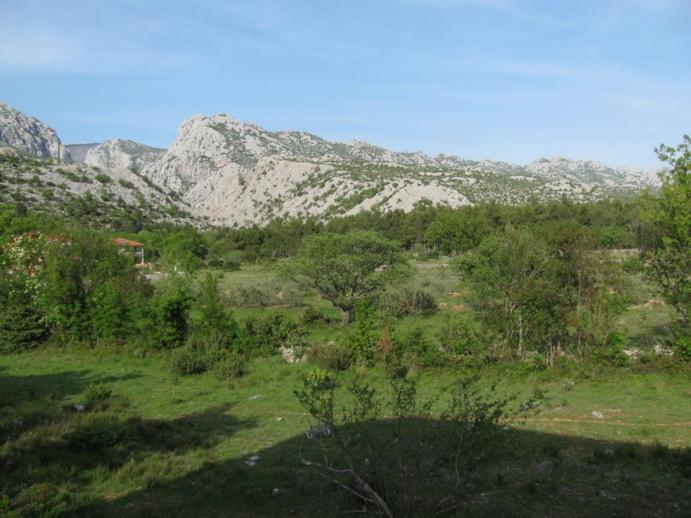 Paklina Apartments Starigrad Paklenica Bagian luar foto
