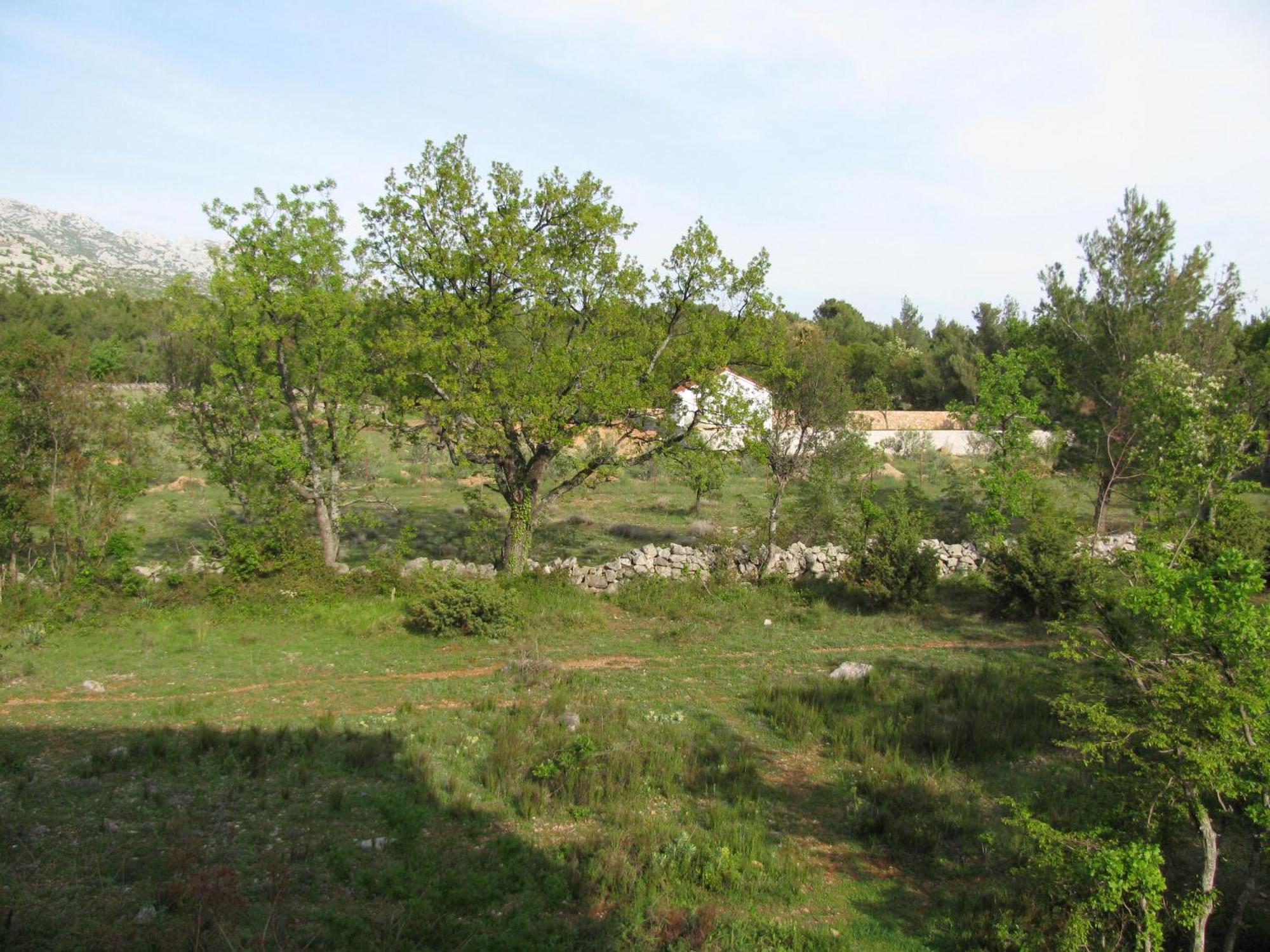 Paklina Apartments Starigrad Paklenica Bagian luar foto